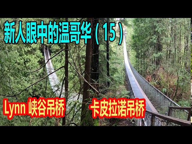 （15）新人眼中的温哥华  卡皮拉诺吊桥 ，The Capilano Suspension Bridge， Lynn 峡谷吊桥,  Lynn canyon suspension bridge,北温