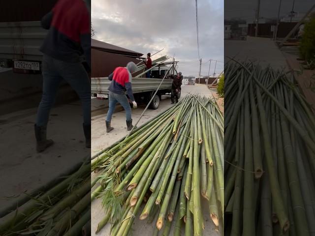 Заготовка бамбука #бамбук #производство #ручнаяработаназаказ #bamboo #diyhomedecor