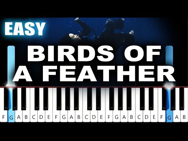 Billie Eilish - BIRDS OF A FEATHER - EASY Piano Tutorial