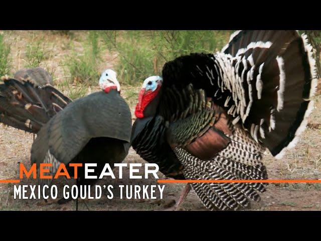 Sonoran Super-Birds: Mexico Gould's Turkey | S2E12 | MeatEater