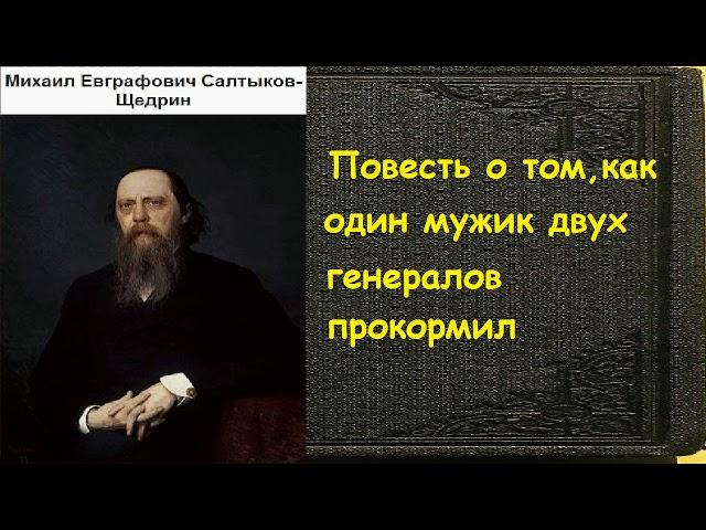 Михаил Салтыков-Щедрин.  Повесть о том, как один мужик двух генералов прокормил аудиокнига