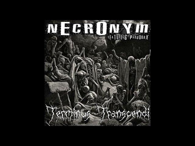 Necronym - I Hate My Flesh - Speedcore Worldwide Audio Netlabel SWAN-235