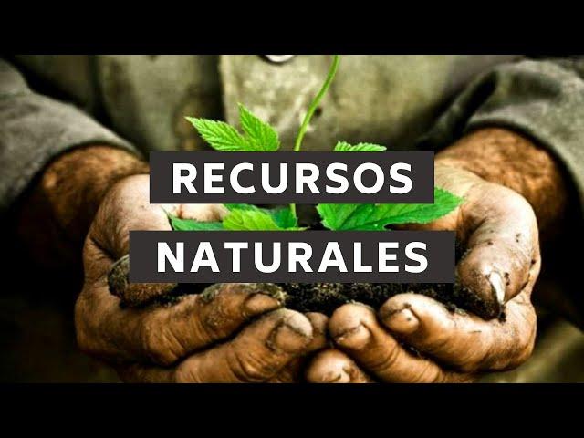 Explotación de recursos naturales | Perspectiva Verde