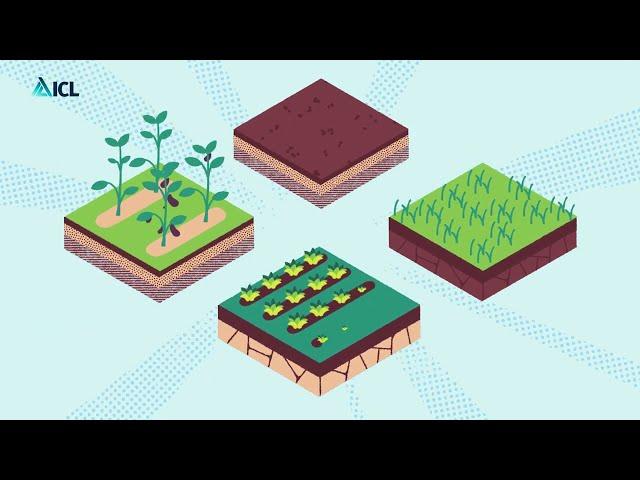 ICL's Controlled Release Fertilizers for Superior Performance