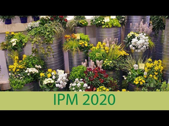 IPM 2020 - Kientzler Young Plants