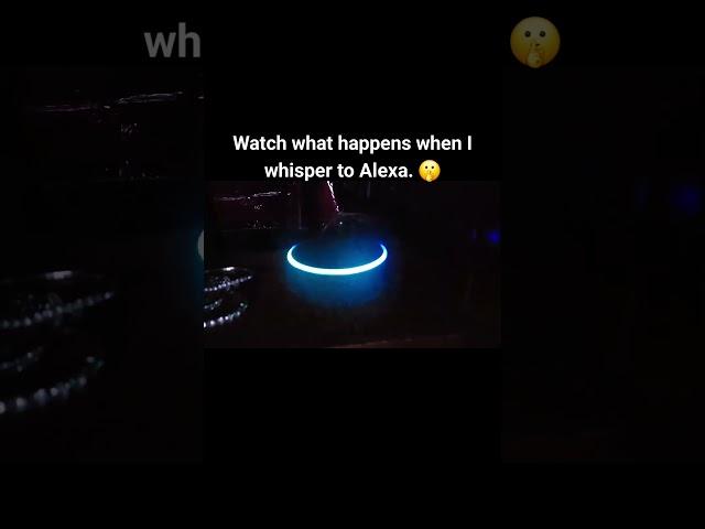 PLAY THIS VIDEO IN FRONT OF YOUR ALEXA!! SEE WHAT HAPPENS!!