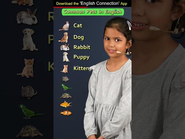 Common Pets's Name in English | Adi English Connection | Kanchan Vidya Connection #shorts