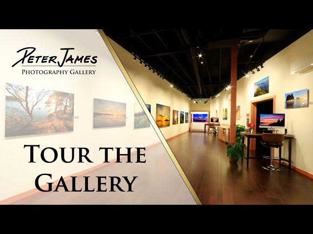 TOUR THE BELLINGHAM GALLERY