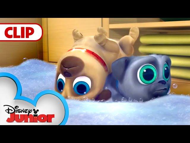 Cleanin' Pup! | Puppy Dog Pals | @disneyjr