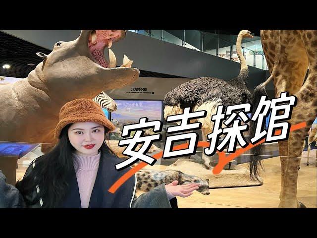 浙江也能看动物大迁徙？浙江自然博物院安吉分馆探馆vlog