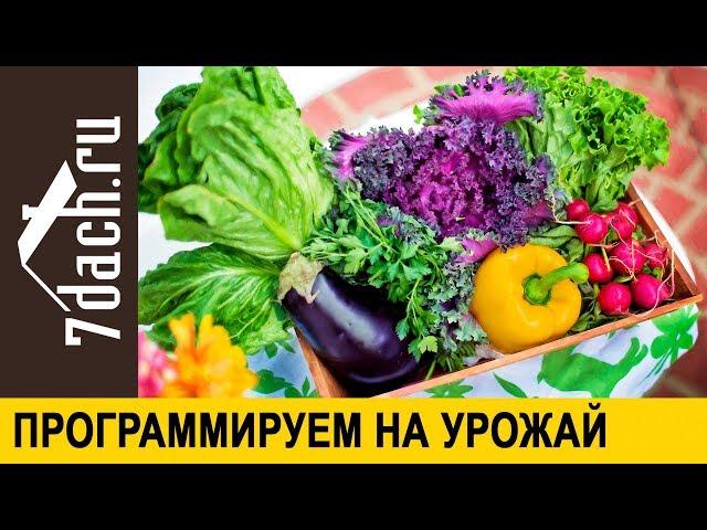 ‍ Как запрограммировать сад и огород на урожай - 7 дач