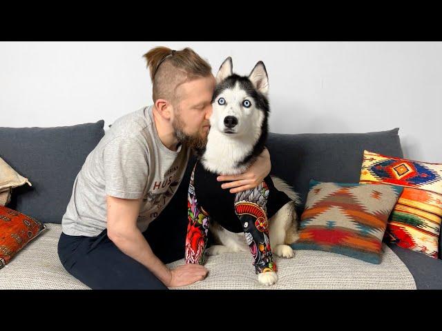 My Husky Has Cancer? We Got the Test Results