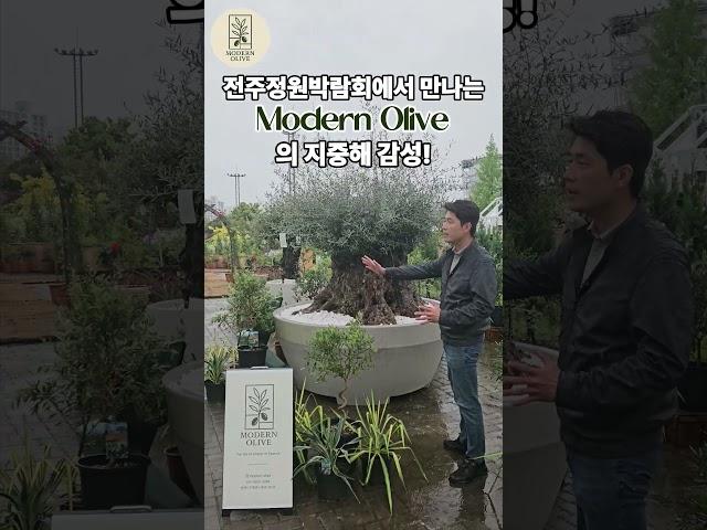  전주정원산업박람회에서 모던올리브를 만나다! 