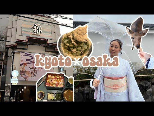 ️kyoto x osaka | japan vlog part 3️