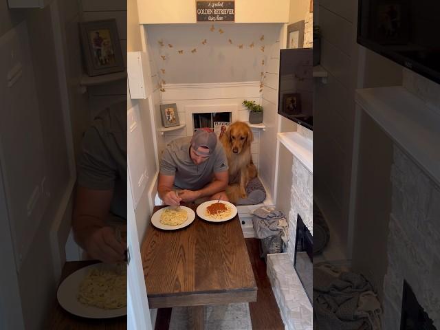 I ate Sunday Dinner in my dogs house! #dog #goldenretriever