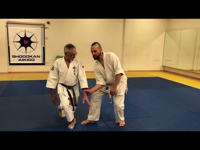 Shodokan aikido. Atemi waza from same side grip