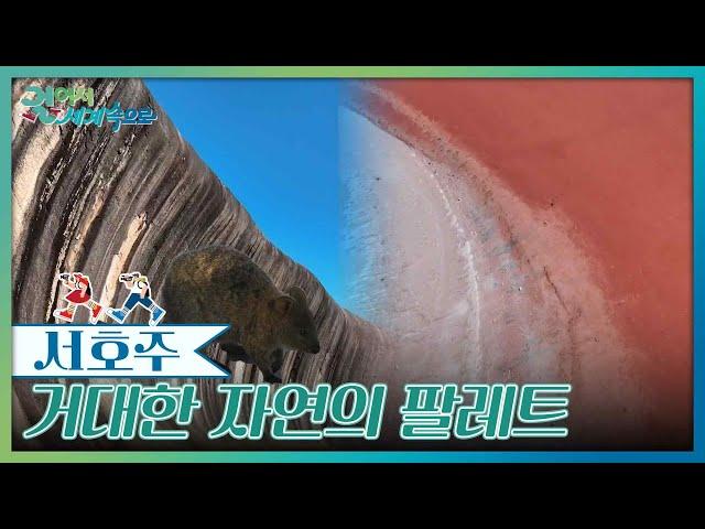 경이로운 풍경, 거대한 자연의 팔레트 [걸어서 세계속으로] | KBS 250621 방송