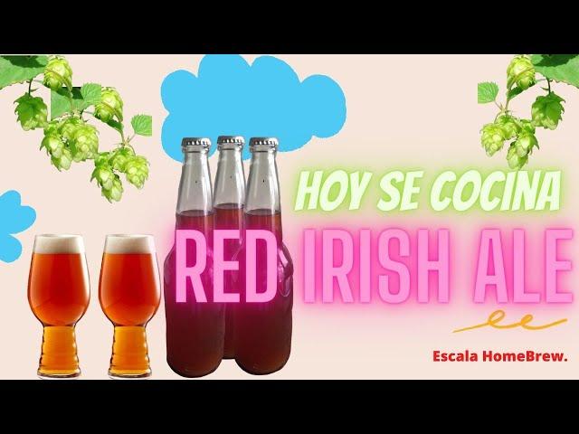 Prepara tu propia Red Irish Ale, Cerveza Roja, Cerveza artesanal Saga.