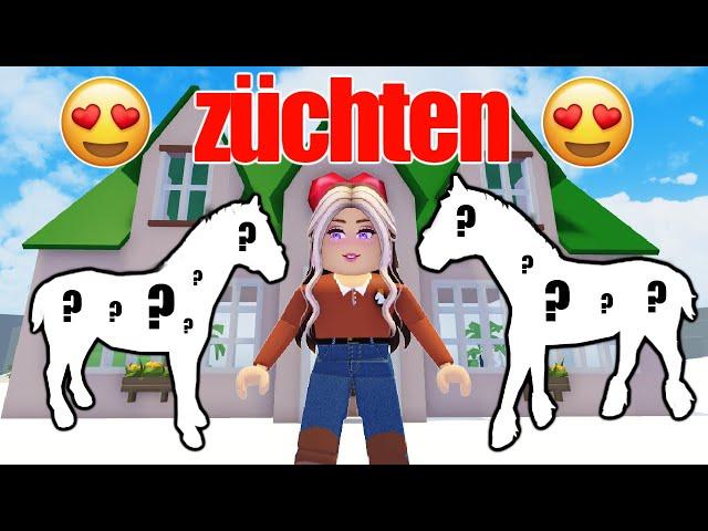 wir züchten die SCHÖNSTEN FOHLEN ⭐️ Horse Valley  Roblox