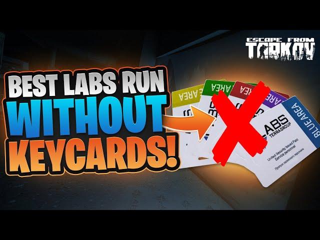 BEST LABS RUN WITHOUT KEYCARDS! - Escape From Tarkov Guide