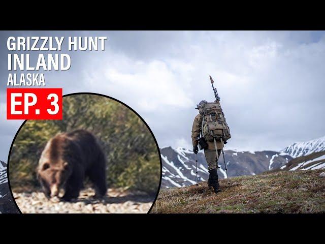 MOUNTAIN GRIZZLY HUNT | 4K | ALASKA | EP. 3