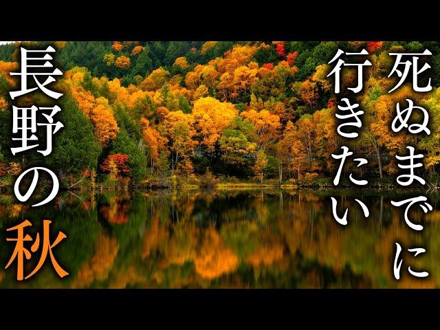 33 Spectacular Spots for Autumn Foliage in Nagano - JAPAN in 4K