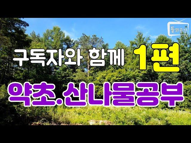 구독자와 함께하는 약초.산나물.산야초공부 1편