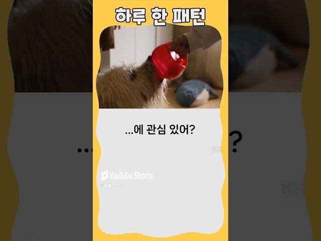 하루 한 패턴 #영어회화 #유용한영어표현 #영어 패턴