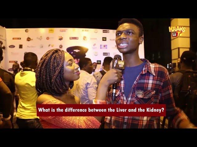 What is the difference between the Liver and the Kidney? | KraksTV Funny Viral Video