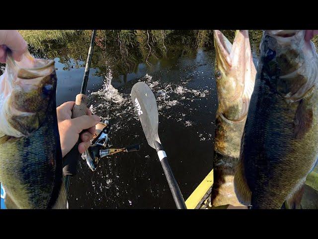 LGmouth, Smallies & a Musky!? | Bobcaygeon, ON (Sturgeon L., and Nogies Creek)