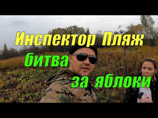 Ловим нарушителей - Инспектор Пляж отнимает яблоки