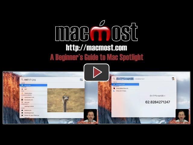 A Beginner's Guide to Mac Spotlight (#1438)