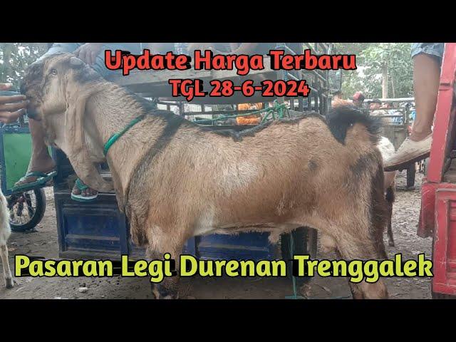 UPDATE HARGA TERBARU PASARAN LEGI DURENAN TRENGGALEK