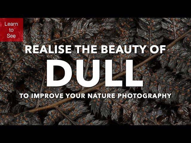 Improve your Nature Photography and Realise the Beauty of Dull