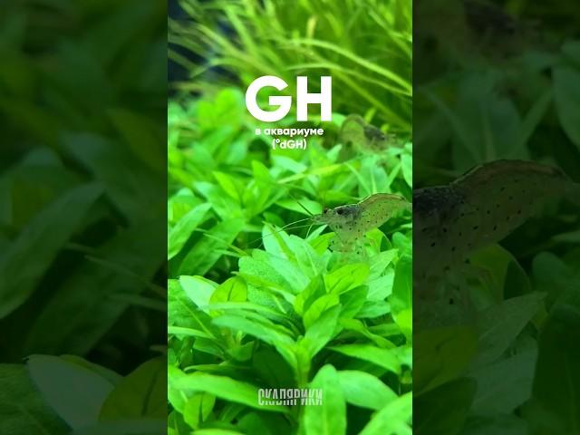 GH - общая жесткость в аквариуме