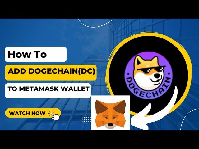 How to Add DogeChain Network to a Metamask Wallet