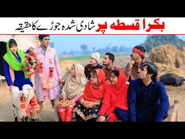 | Ramzi,Noori, Bilo ,Bhootna,Shoki, Sanam, Falak Sher,Funny Video  Rachnavi Tv