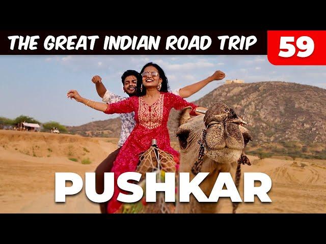 Pushkar me PUSH kar diya | 35,000 km The Great Indian Road Trip Ep 59