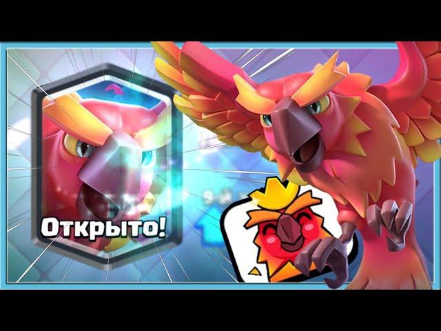  PHOENIX NEW OP? PHOENIX LAUNCH PARTY AND DECKS / Ckash Royale