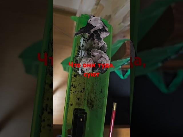 Нефть в стволах