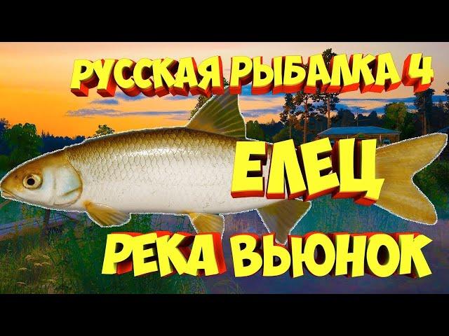 Русская рыбалка 4: р. Вьюнок троф елец, фарм для новичков, от ЧокопайТВ