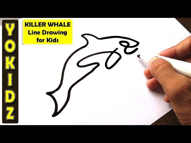 Killer Whale Line Drawing for Kids - YoKidz