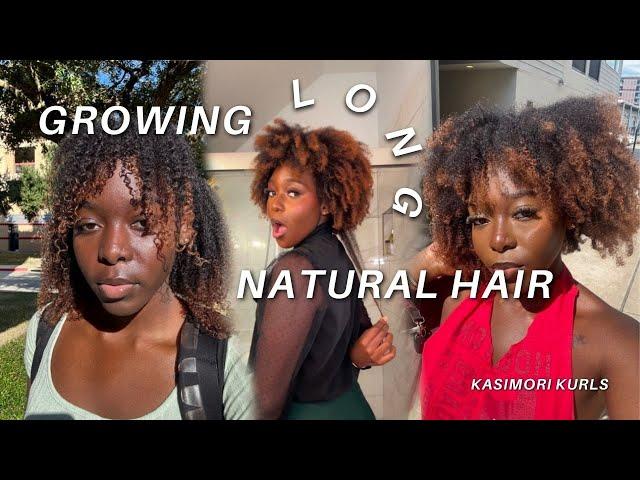 THE NATURAL HAIR COMMUNITY LIED ABOUT HAIR GROWTH | how to actually grow your  Natural Hair in 2025