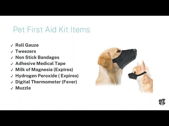 Pet First Aid