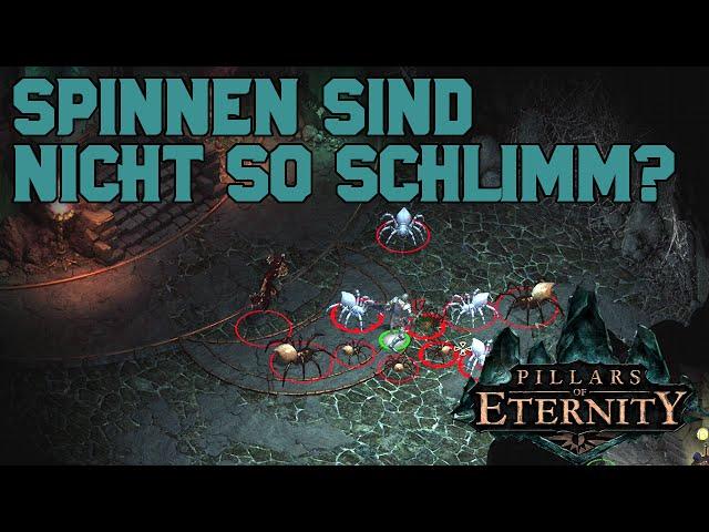 Let's Play Pillars of Eternity - Lle a Rhemen - Teil 93