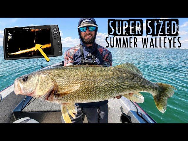 Fishing GIANT Summer Walleyes with AGGRESSIVE Lures!