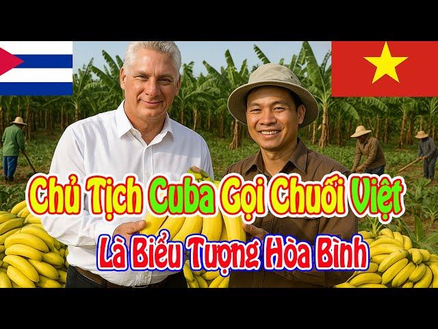 Từ Một Trái Chuối Việt, Chủ Tịch Cuba Phát Động Cả Phong Trào Nông Nghiệp Cộng Đồng!