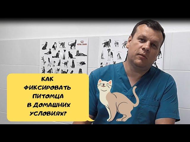 КАК ФИКСИРОВАТЬ ПИТОМЦА В ДОМАШНИХ УСЛОВИЯХ?