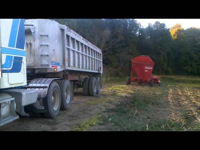 Chopping Corn With Twin Oaks Dairy Farm