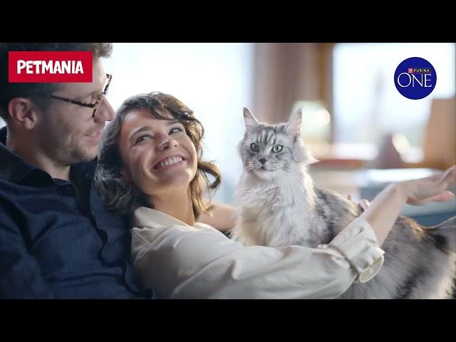 PURINA ONE - Available at Petmania